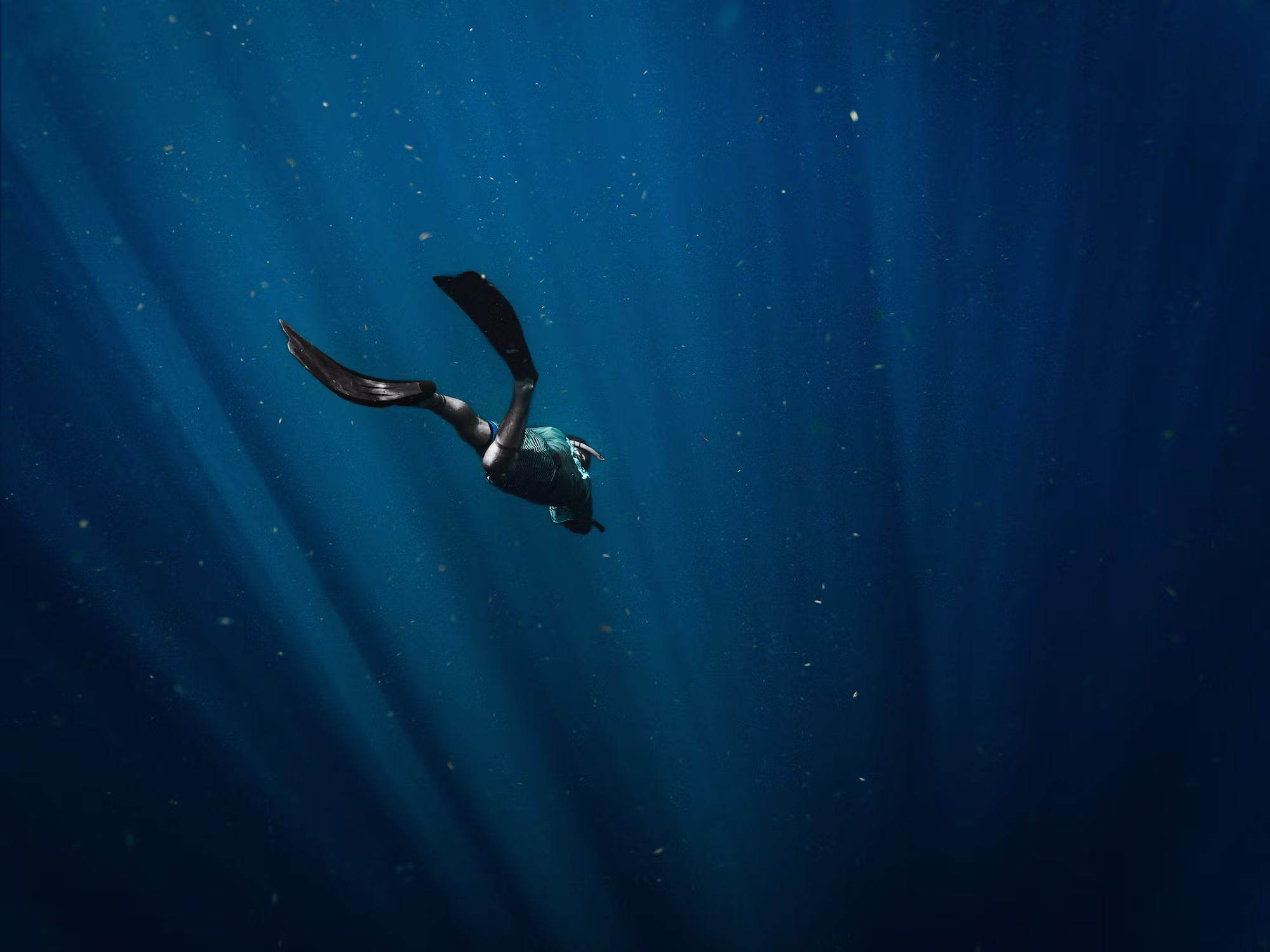 Discovering the Depths: A Journey Through the World of Diving
