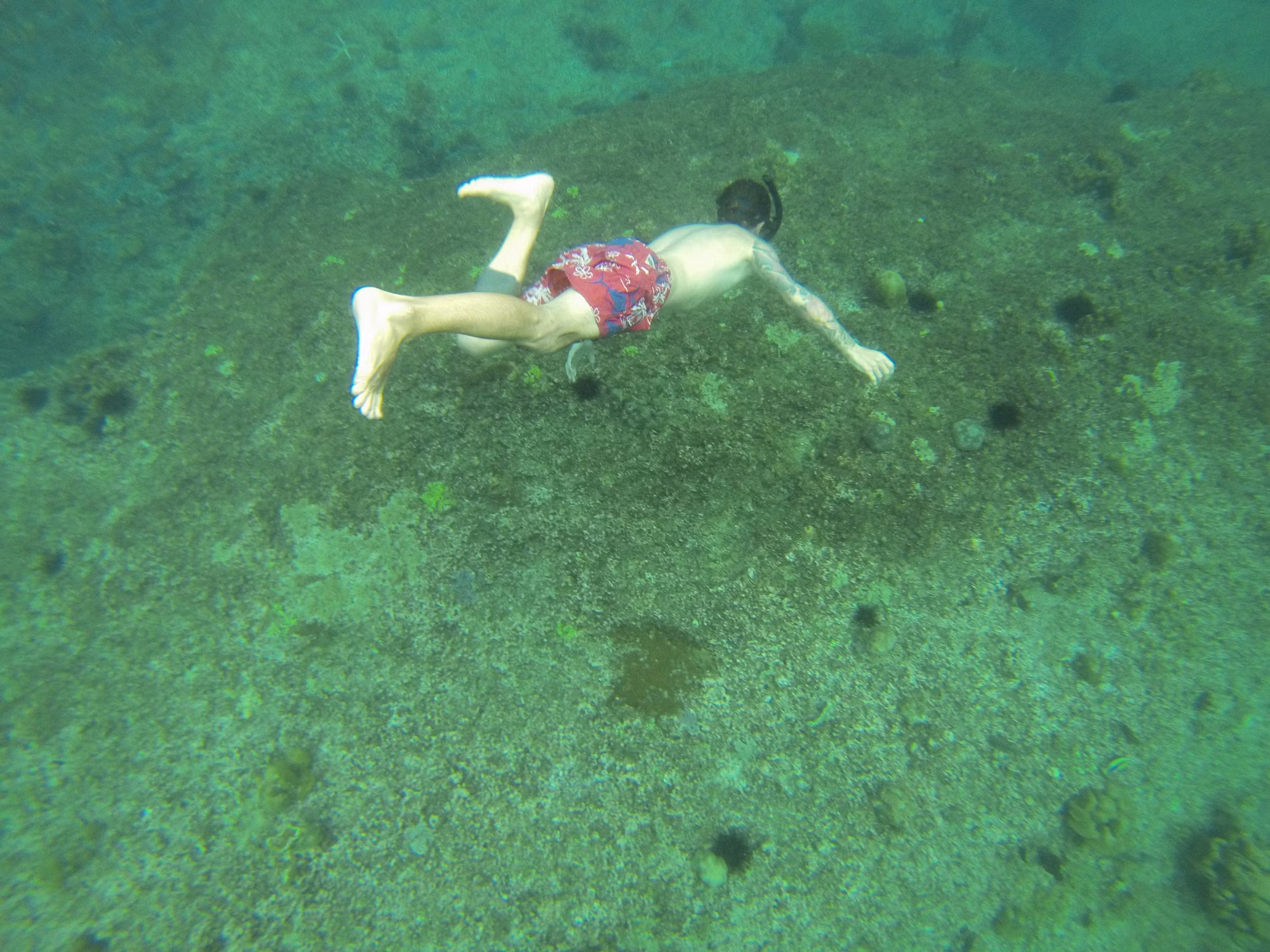 Beneath the Waves: The Thrilling World of Diving Experiences