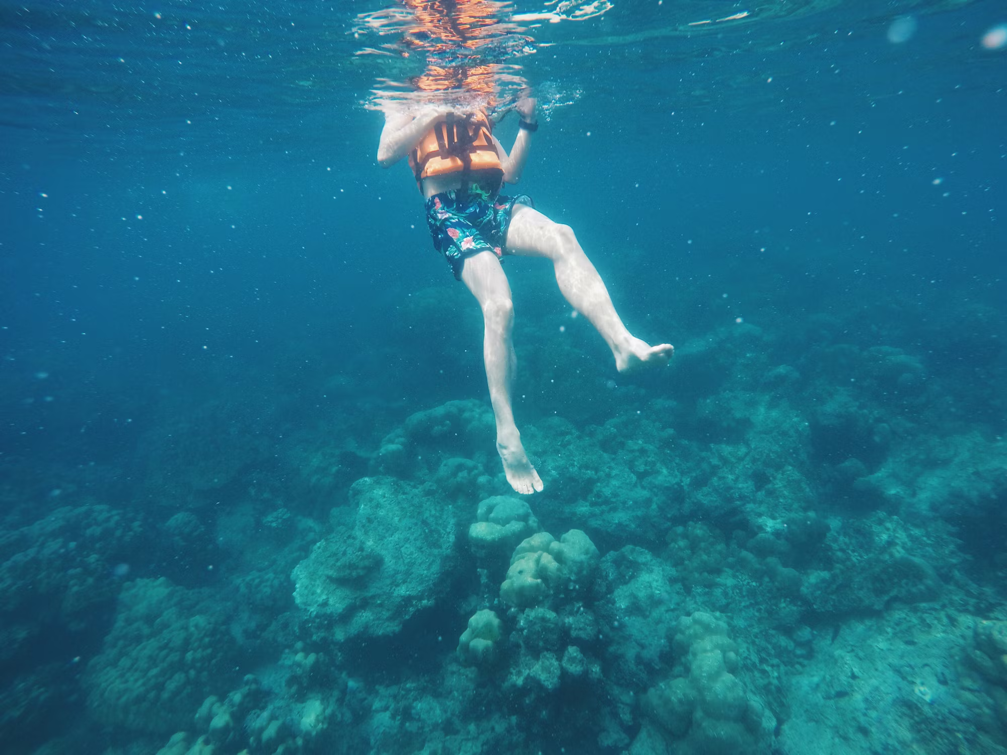Beneath the Surface: The Thrill and Diversity of Diving Disciplines