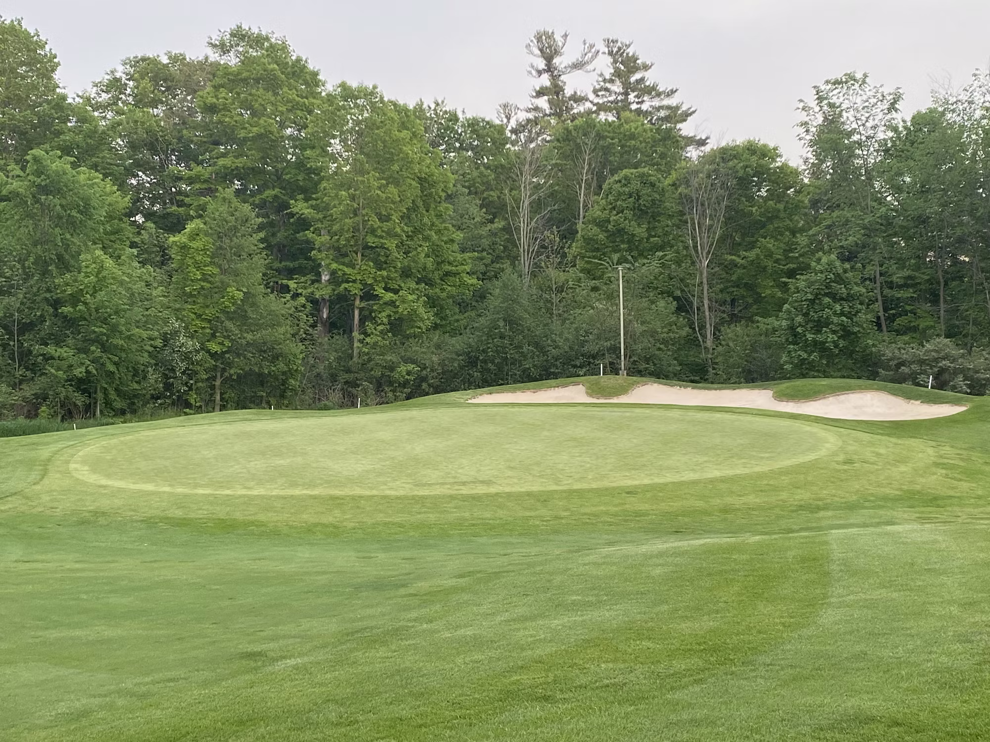 Exploring the Beauty of Golf Courses Around the World